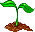 earth.gif earth.gif