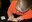 LawsonMerworth_small.jpg